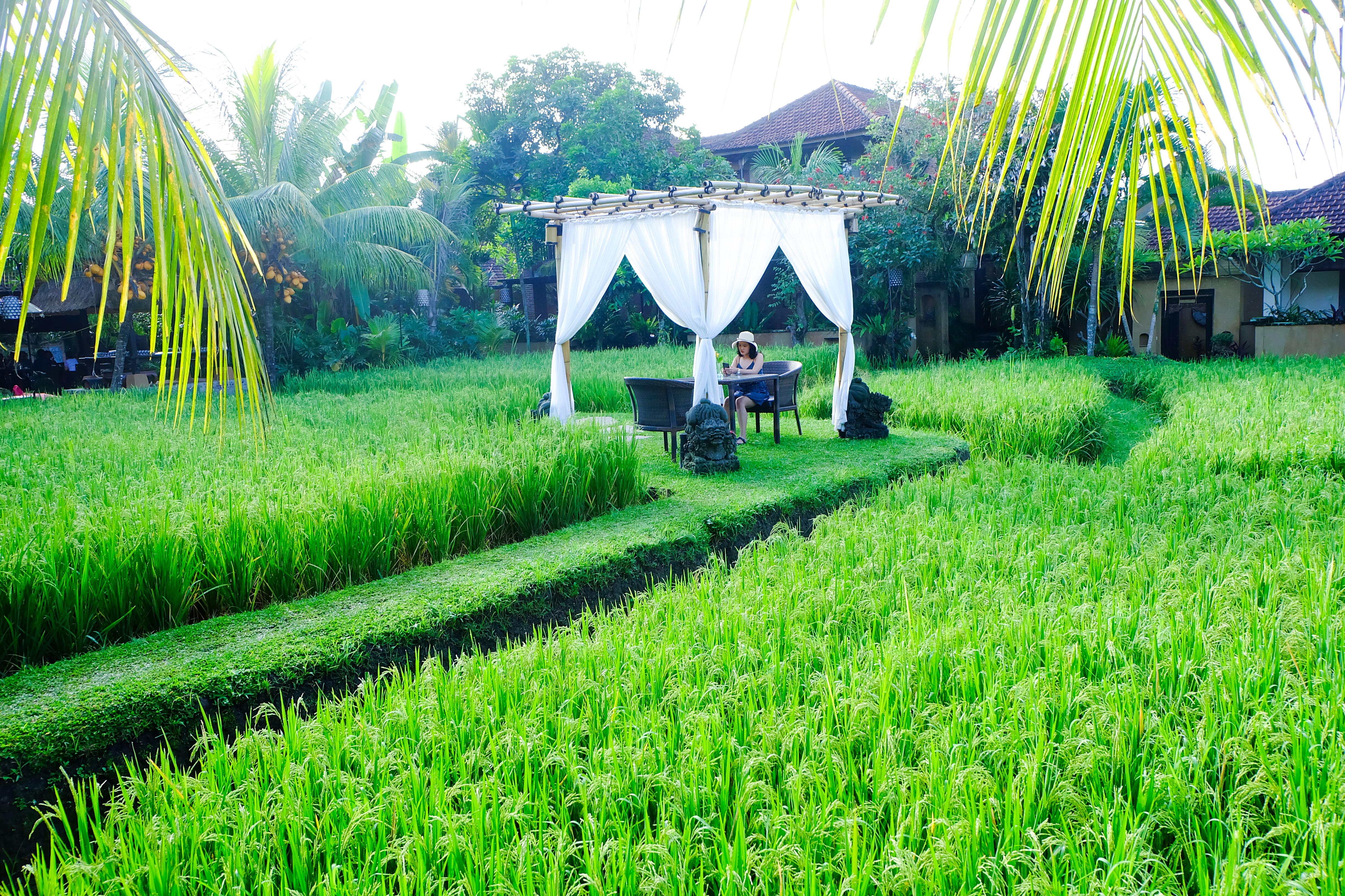 Bebek Tepi Sawah Restaurant & Villas Ubud Exterior foto