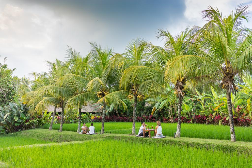 Bebek Tepi Sawah Restaurant & Villas Ubud Exterior foto